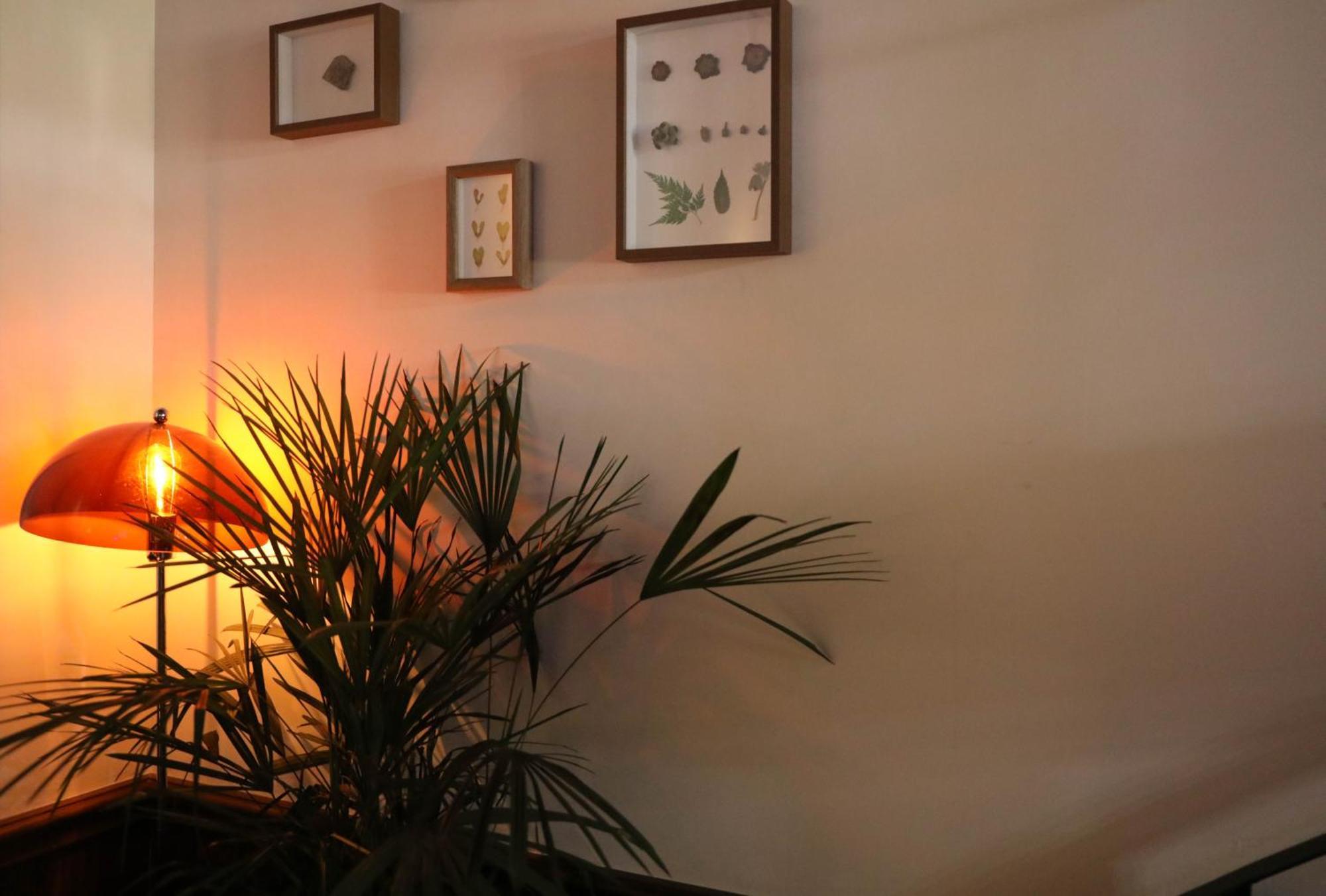 Sonderia Lazybones Hostel- Wenshu Temple Side, Chill Hostel With All-Day Brunch, Travel Agency In English & Local Bar Vibes Chengdu Exterior photo