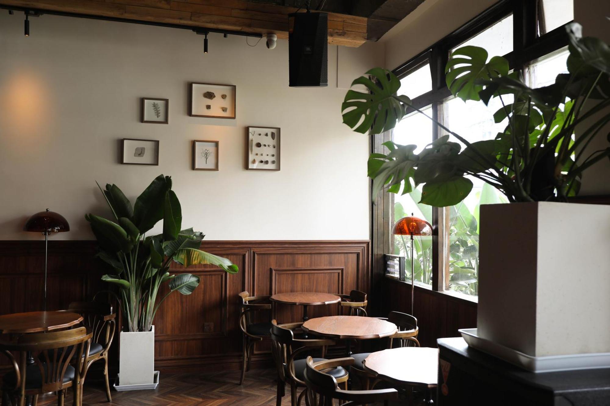 Sonderia Lazybones Hostel- Wenshu Temple Side, Chill Hostel With All-Day Brunch, Travel Agency In English & Local Bar Vibes Chengdu Exterior photo
